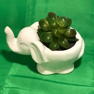 Small Ceramic Elephant Succulent Planter White